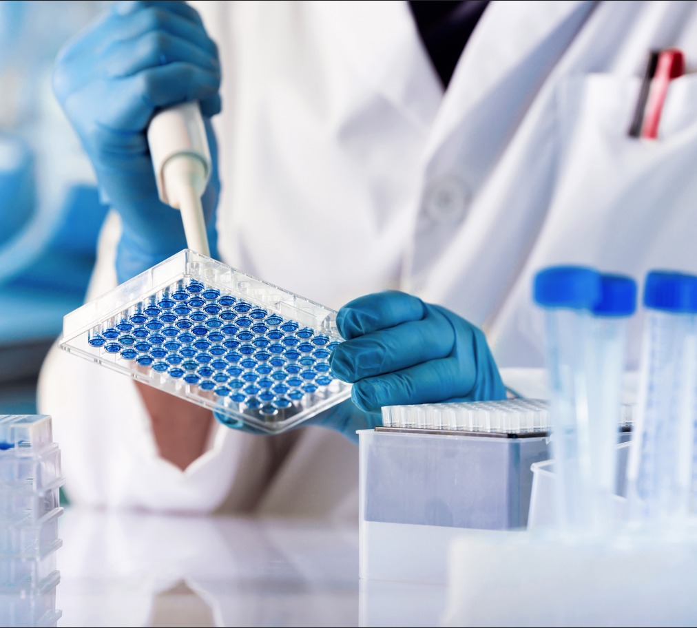 whatsapp image 2025 11 12 at 3.45.59 am